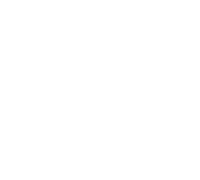 TikTok Partner